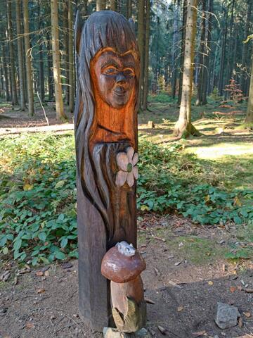 640x480/IMG_20211029_150231.jpg