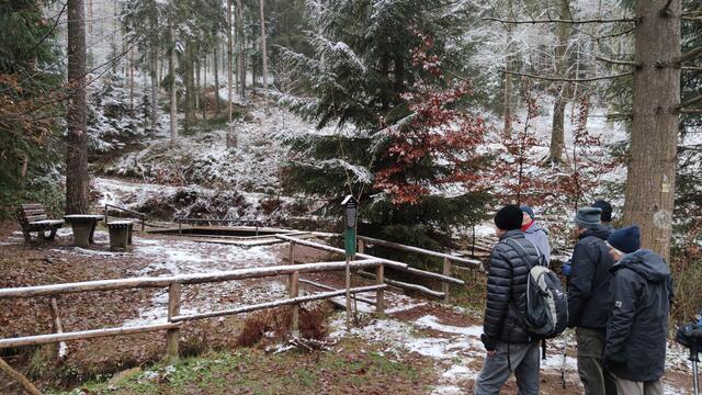 640x480/IMG_20211126_102915.jpg