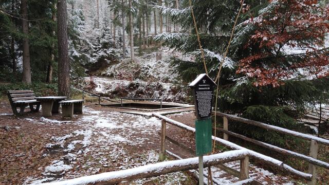 640x480/IMG_20211126_102940.jpg