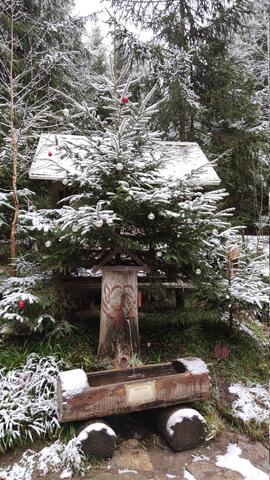 640x480/IMG_20211126_104249.jpg