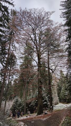 640x480/IMG_20211126_111910.jpg