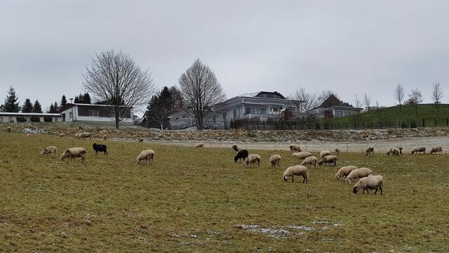 640x480/IMG_20211126_115147.jpg
