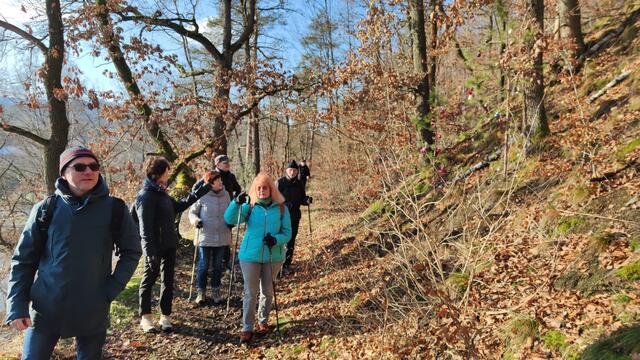 640x480/IMG_20211210_134014.jpg