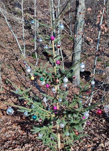 640x480/IMG_20211210_135101.jpg