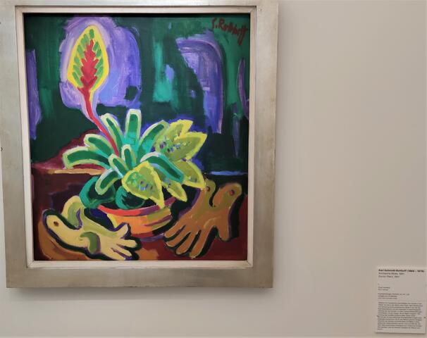 640x480/IMG_20220401_132910.jpg