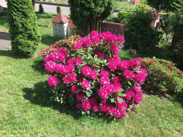 640x480/IMG-20220520-WA0005.jpg