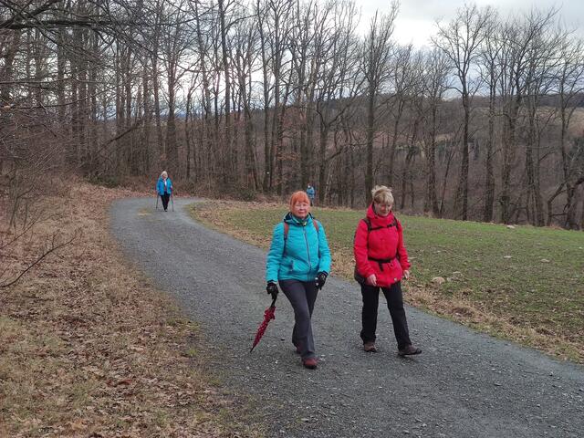 640x480/IMG_20240126_105318.jpg