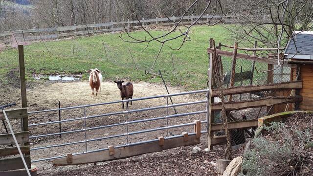 640x480/IMG_20240223_111539.jpg