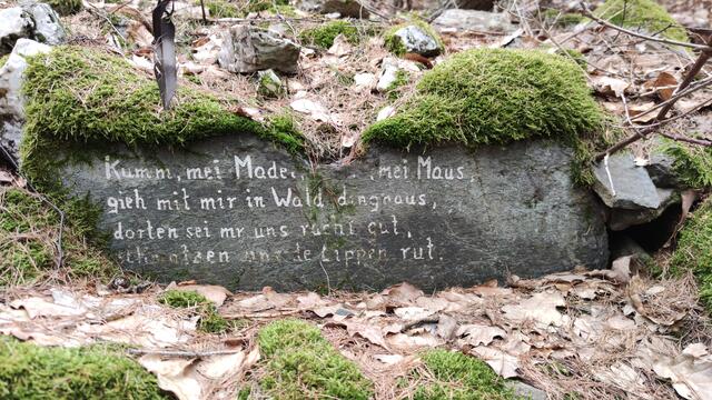 640x480/IMG_20240223_113517.jpg