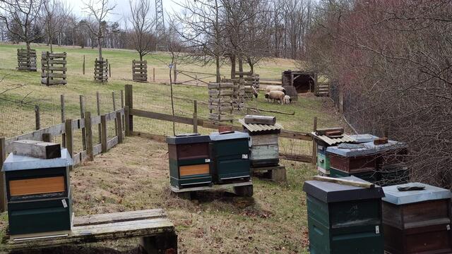 640x480/IMG_20240223_130246.jpg