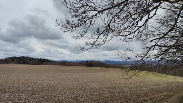 640x480/IMG_20240223_131224.jpg