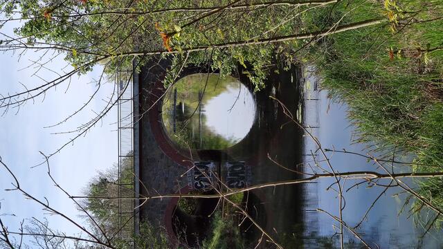 640x480/IMG_20240412_115550.jpg