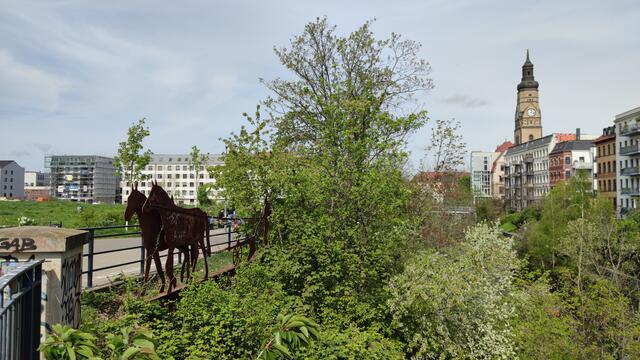 640x480/IMG_20240412_121739.jpg