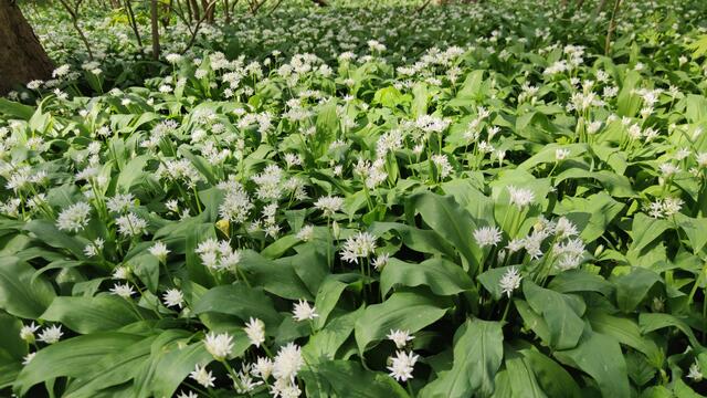 640x480/IMG_20240412_151419.jpg