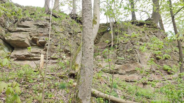 640x480/IMG_20240426_113222.jpg