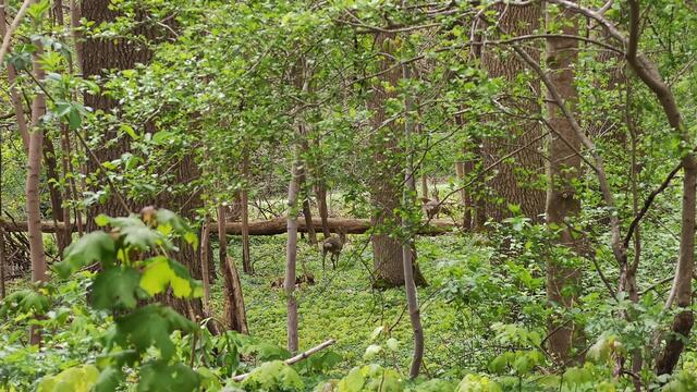 640x480/IMG_20240426_114138.jpg