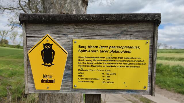 640x480/IMG_20240426_114908.jpg