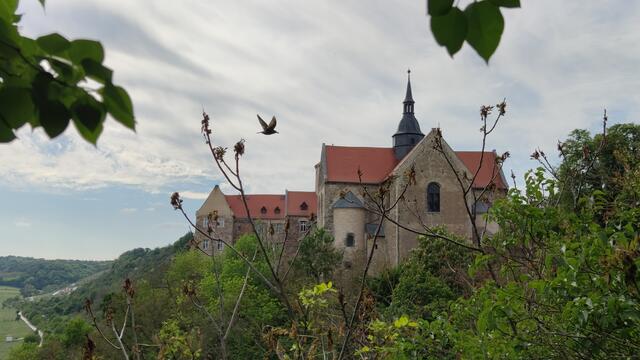 640x480/IMG_20240512_162419.jpg