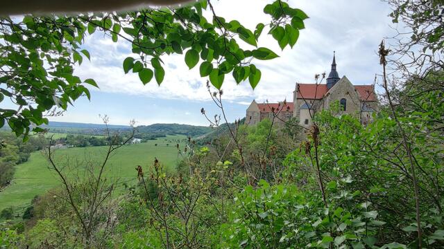 640x480/IMG_20240512_162435.jpg
