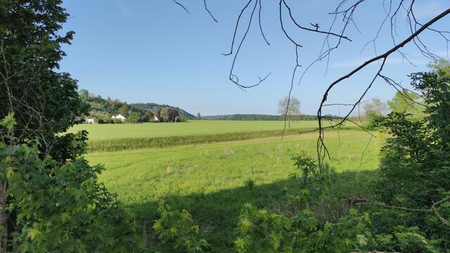 640x480/IMG_20240512_182423.jpg