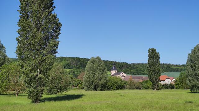 640x480/IMG_20240513_102636.jpg