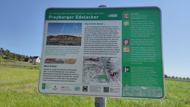 640x480/IMG_20240513_102940.jpg