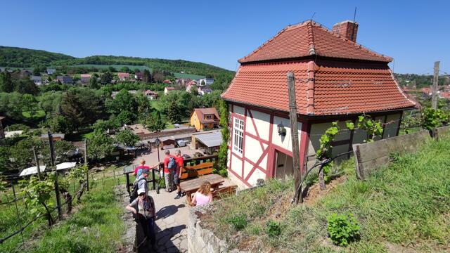 640x480/IMG_20240513_115839.jpg