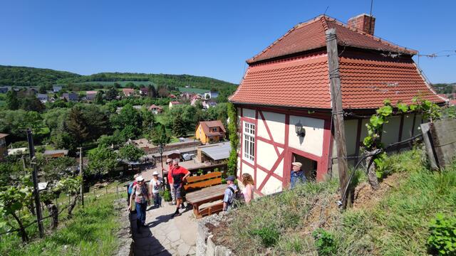 640x480/IMG_20240513_115852.jpg