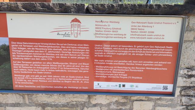 640x480/IMG_20240513_121030.jpg