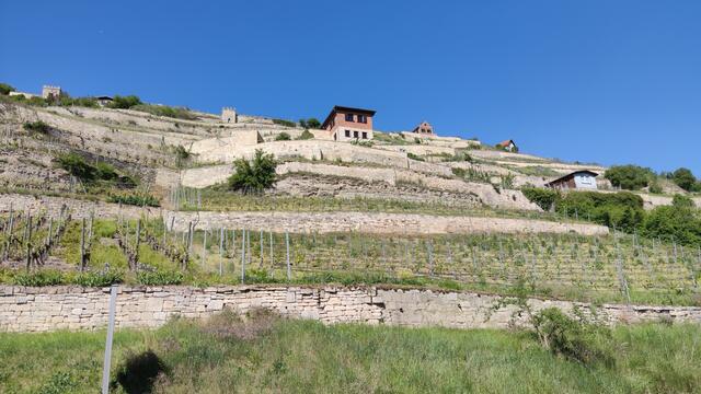 640x480/IMG_20240513_155024.jpg