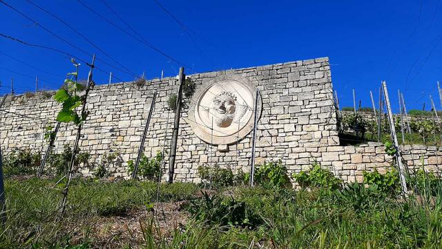 640x480/20240513_Freyburg4.jpg