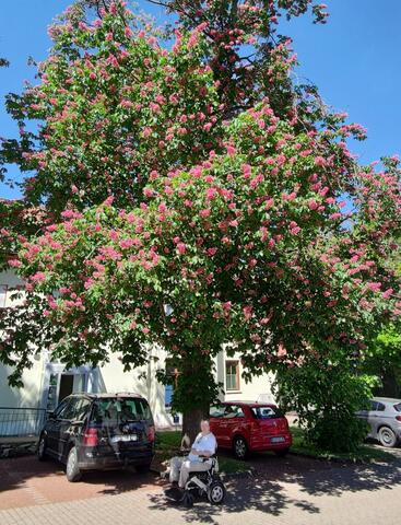 640x480/IMG_20240514_113416.jpg
