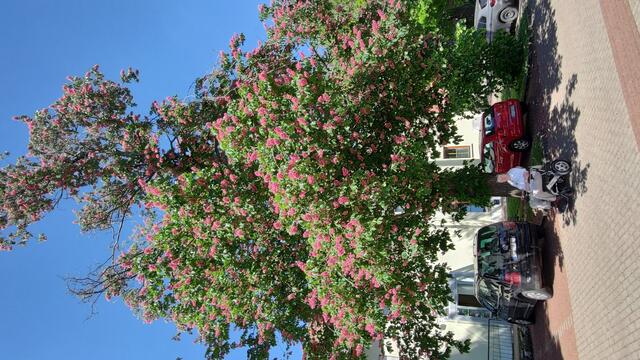 640x480/IMG_20240514_113419.jpg
