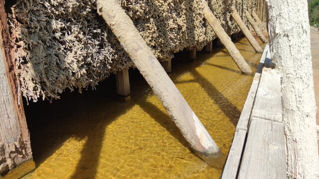 640x480/IMG_20240514_114958.jpg