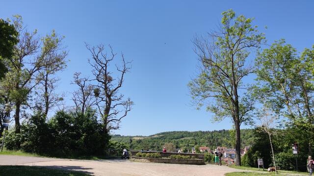 640x480/IMG_20240514_115124.jpg