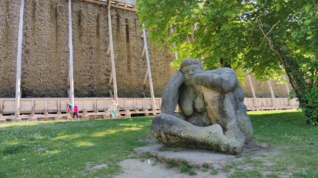 640x480/IMG_20240514_115858.jpg