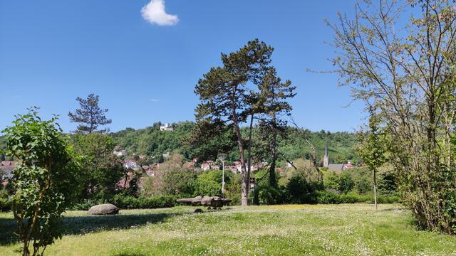 640x480/IMG_20240514_120039.jpg