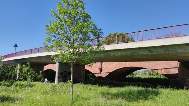640x480/IMG_20240514_161633.jpg