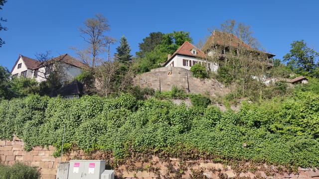640x480/IMG_20240514_171734.jpg
