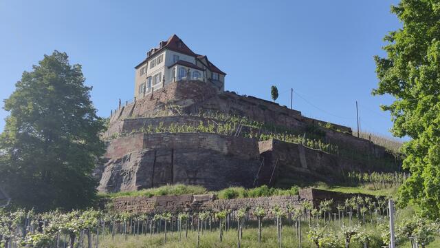 640x480/IMG_20240514_171749.jpg