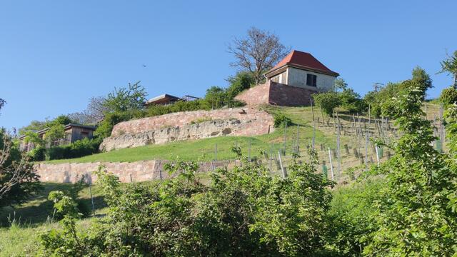 640x480/IMG_20240514_180139.jpg