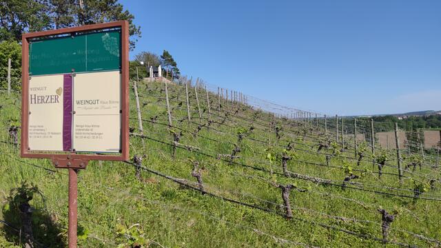 640x480/IMG_20240515_165500.jpg