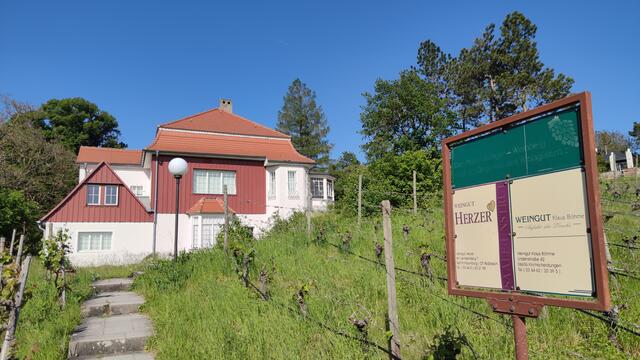 640x480/IMG_20240515_165506.jpg