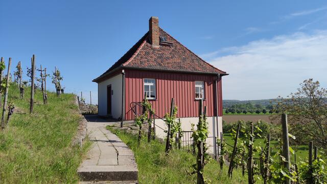 640x480/IMG_20240515_165602.jpg