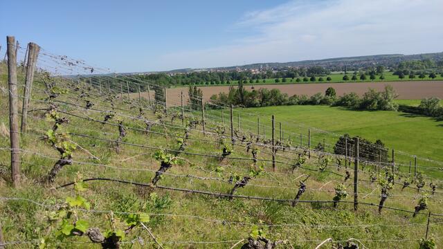 640x480/IMG_20240515_165716.jpg