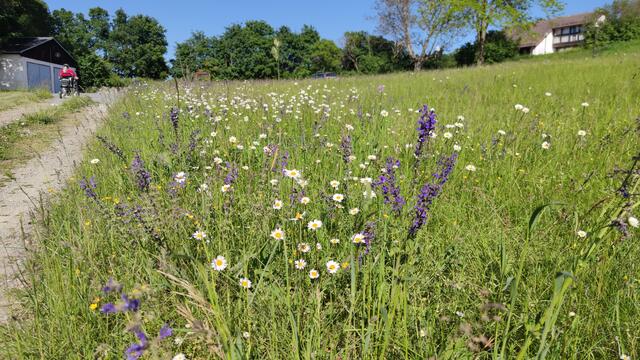 640x480/IMG_20240515_170020.jpg