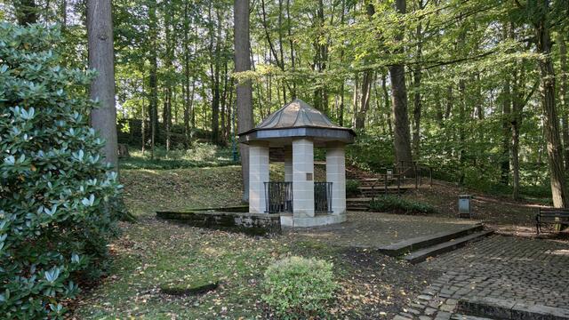 640x480/IMG_20240927_110529.jpg