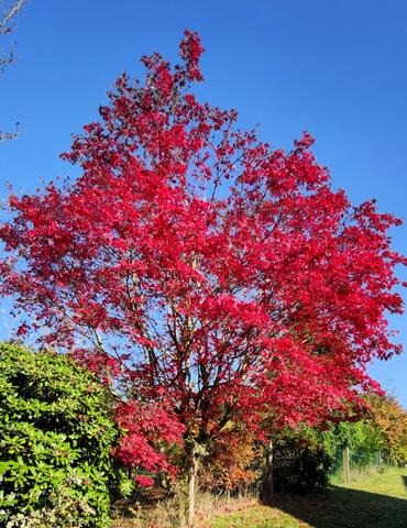 640x480/IMG_20241025_101807.jpg