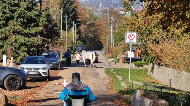 640x480/IMG_20241025_115245.jpg