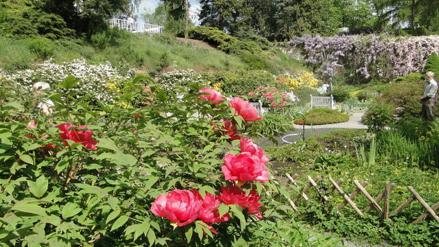 640x480/2016-DSC05050.JPG